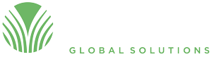 Verus Global Solutions LLC